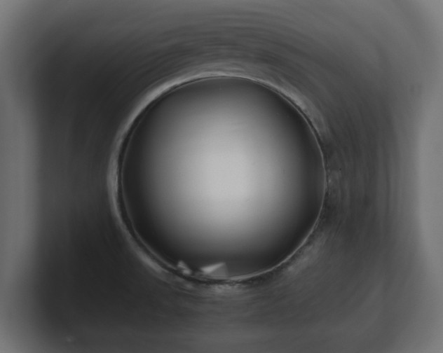 X0000100761523200806261554