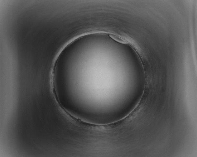 X0000100761524200806261554