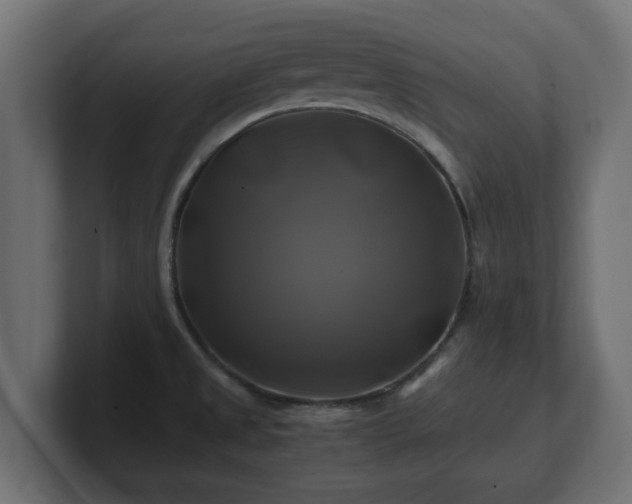 X0000100761525200806261554