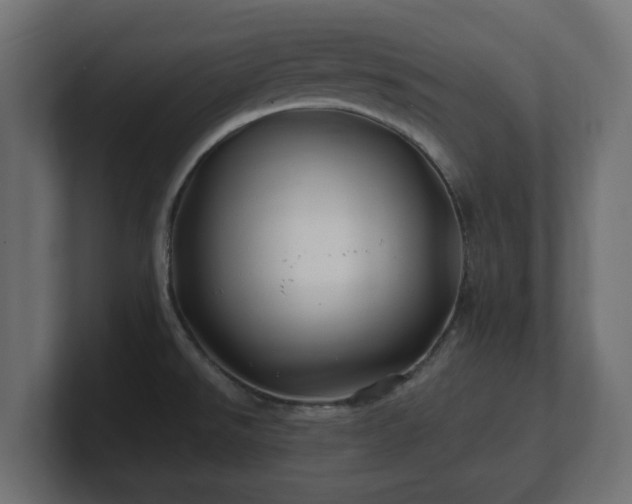 X0000100761526200806261554