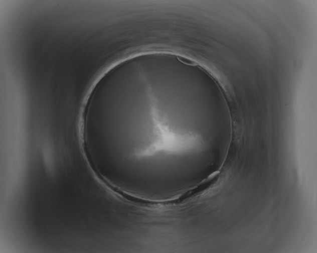 X0000100761527200806261554