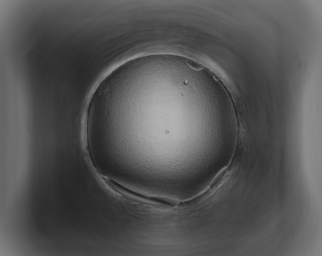 X0000100761528200806261554