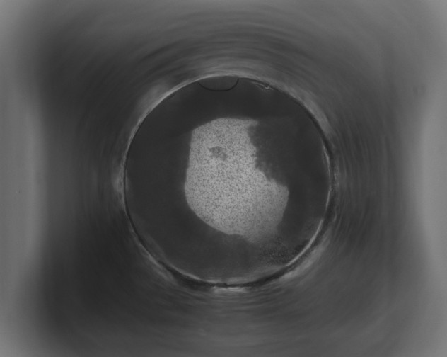 X0000100761529200806261554