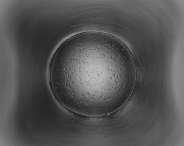 X0000100761531200806261554