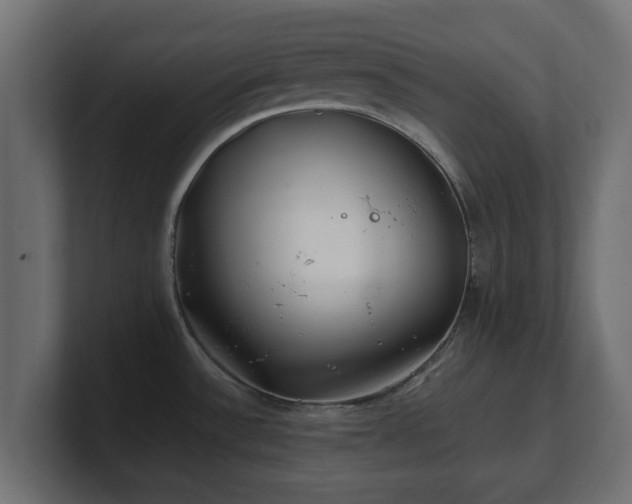 X0000100761532200806261554