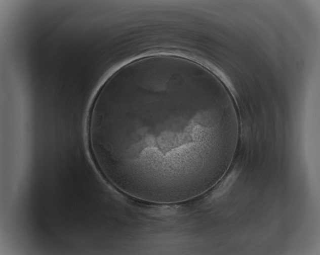 X0000100761533200806261554