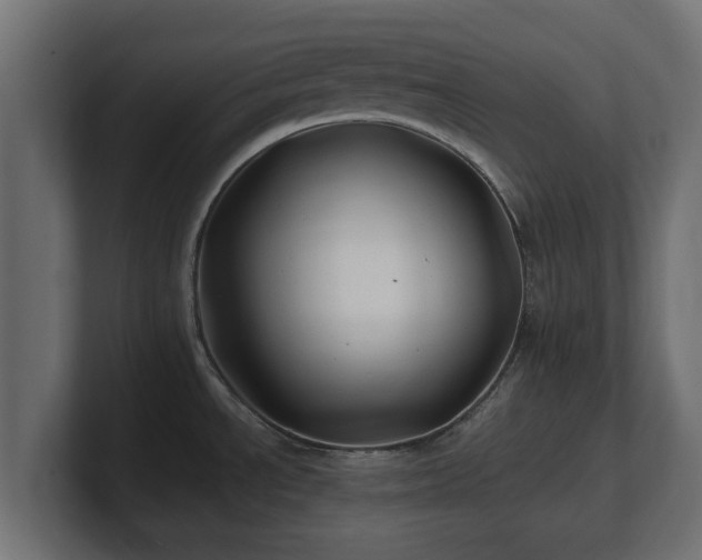 X0000100761534200806261554