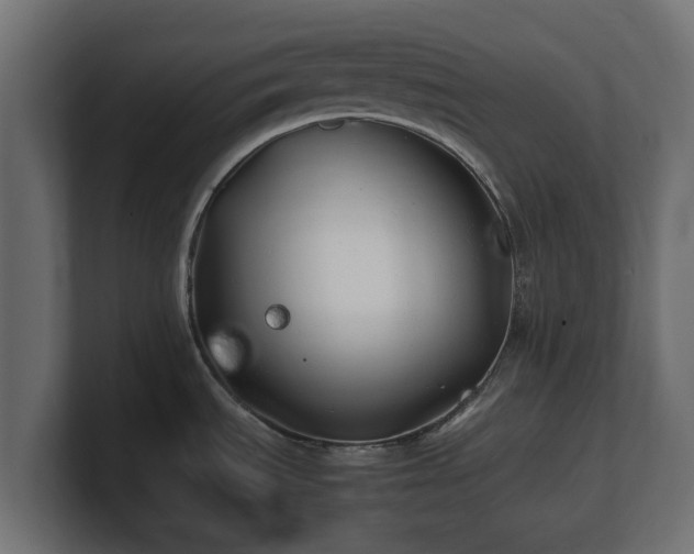 X0000100761535200806261554