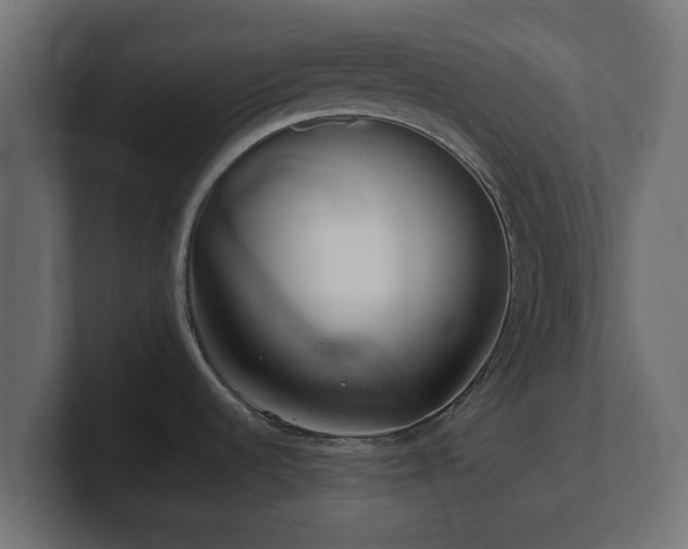 X0000100761536200806261554