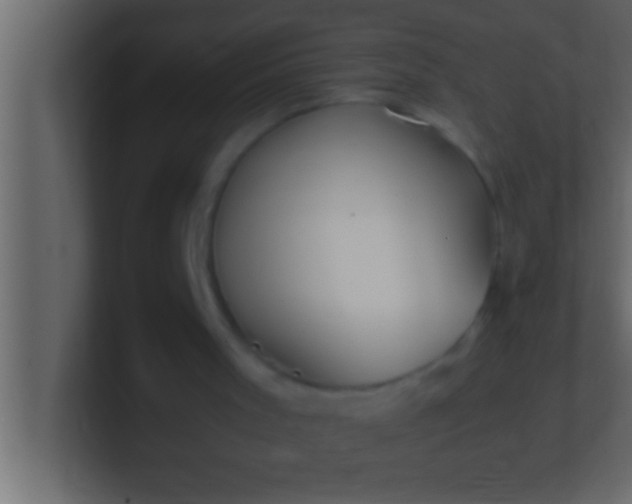 X0000100760001200807031159