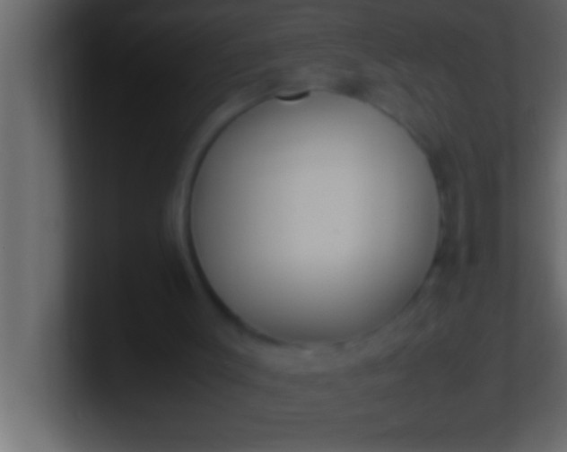 X0000100760003200807031159