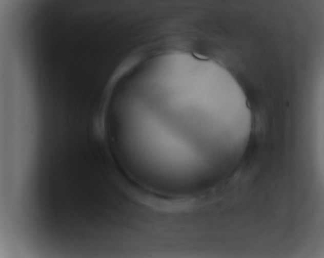 X0000100760004200807031159