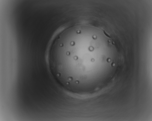 X0000100760006200807031159