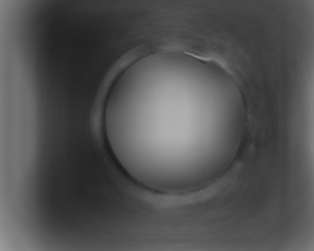 X0000100760007200807031159