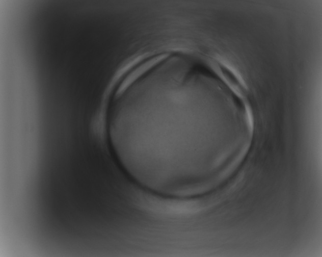 X0000100760008200807031159