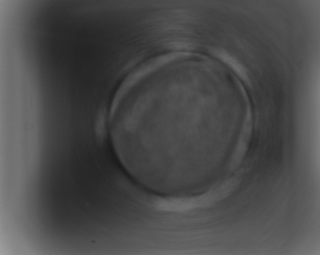 X0000100760009200807031159