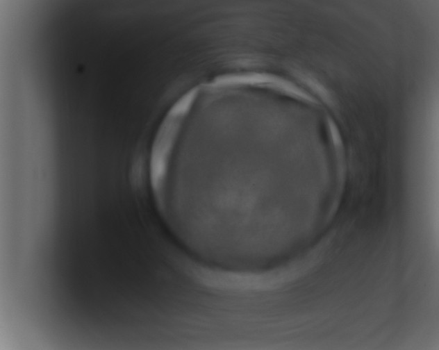 X0000100760010200807031159