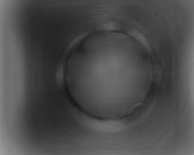 X0000100760012200807031159