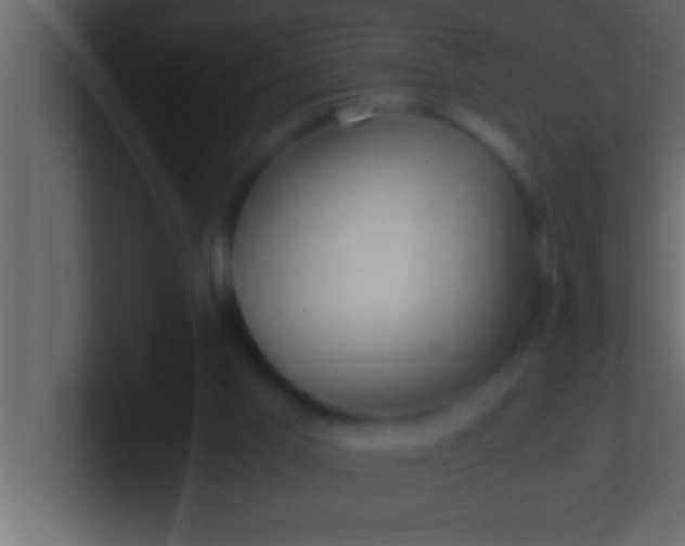 X0000100760013200807031159