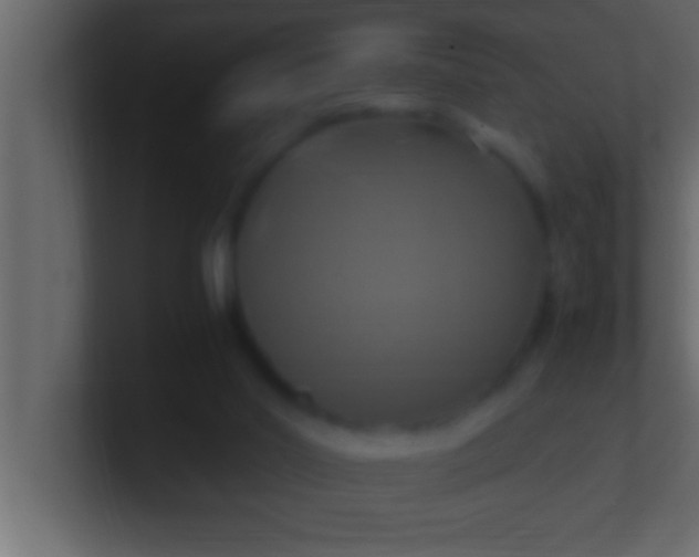 X0000100760014200807031159