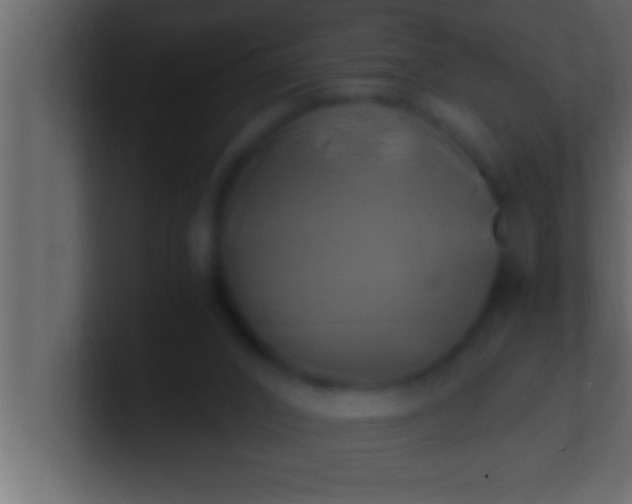 X0000100760016200807031159