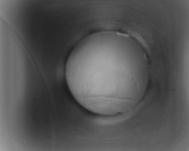 X0000100760017200807031159