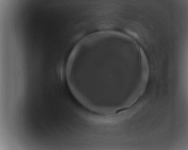 X0000100760019200807031159