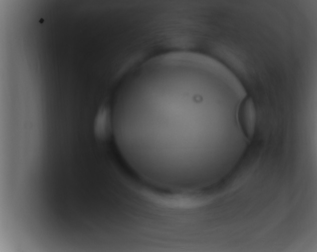 X0000100760020200807031159