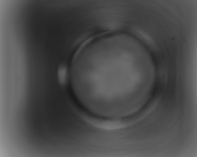 X0000100760024200807031159