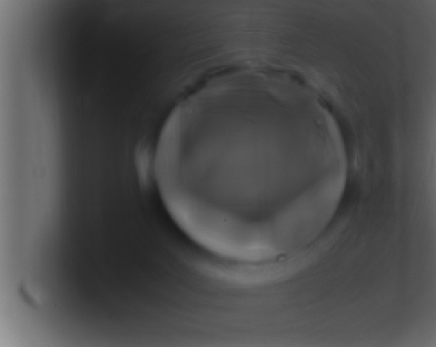 X0000100760027200807031159