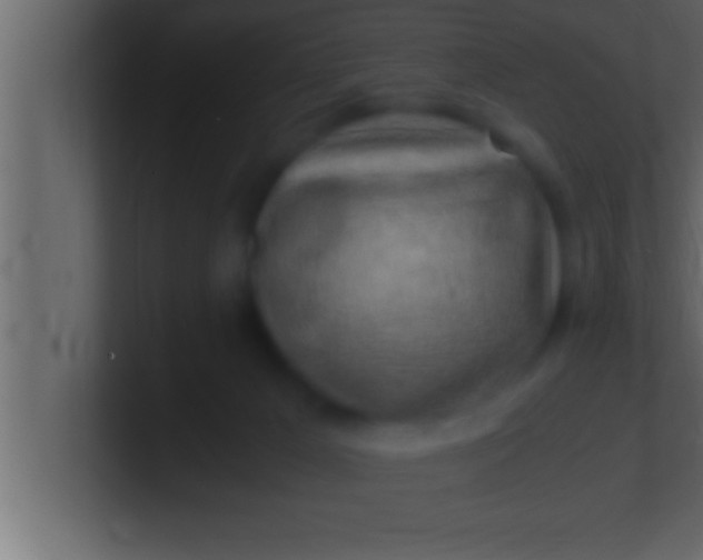 X0000100760029200807031159