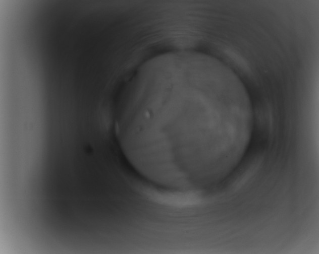 X0000100760032200807031159