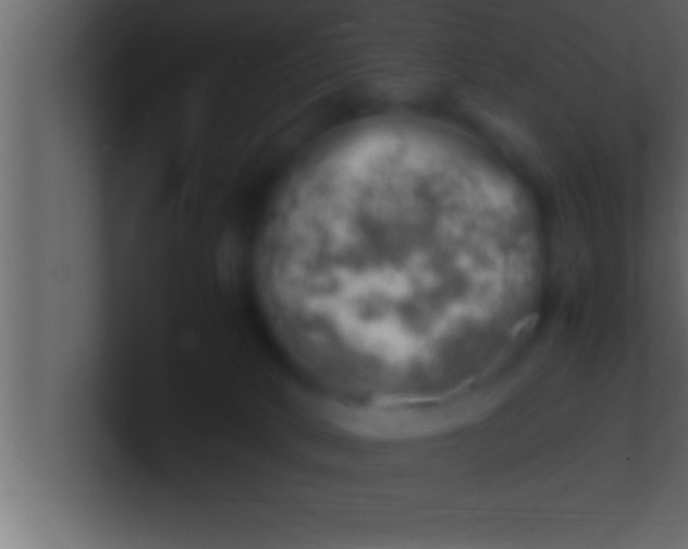 X0000100760034200807031159