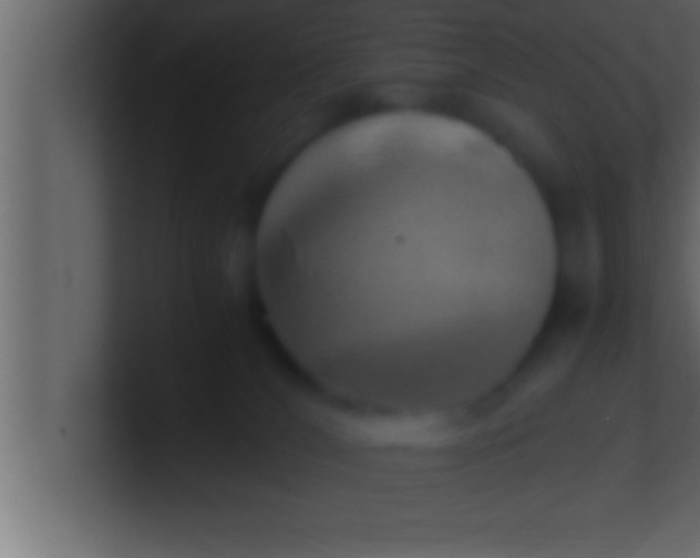 X0000100760036200807031159