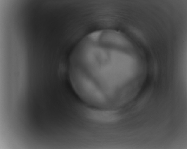 X0000100760040200807031159