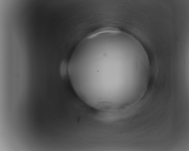 X0000100760041200807031159