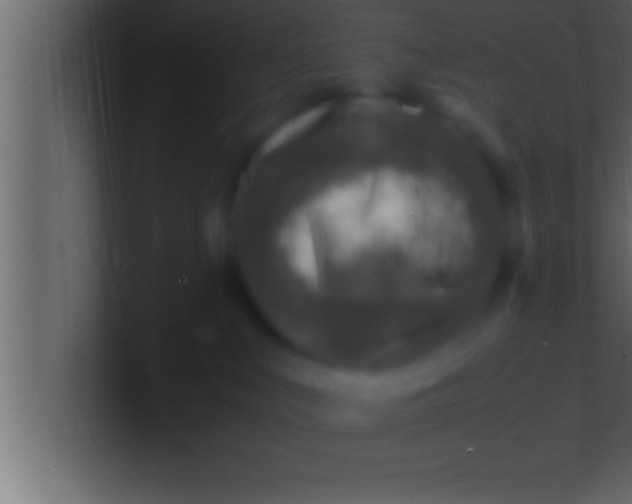 X0000100760043200807031159