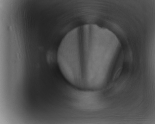 X0000100760044200807031159