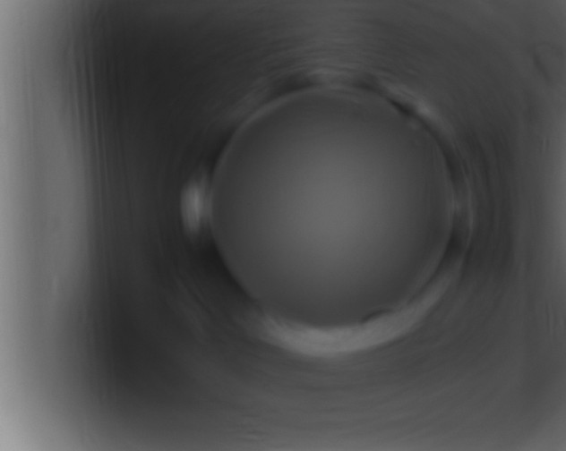 X0000100760046200807031159