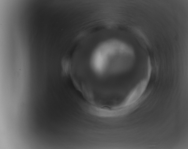 X0000100760047200807031159