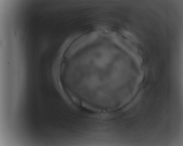 X0000100760049200807031158