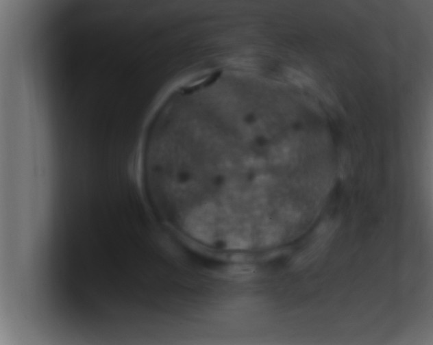 X0000100760052200807031158