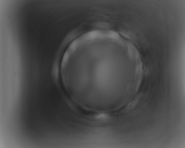 X0000100760053200807031158