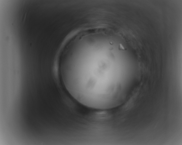 X0000100760054200807031158