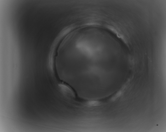 X0000100760055200807031158