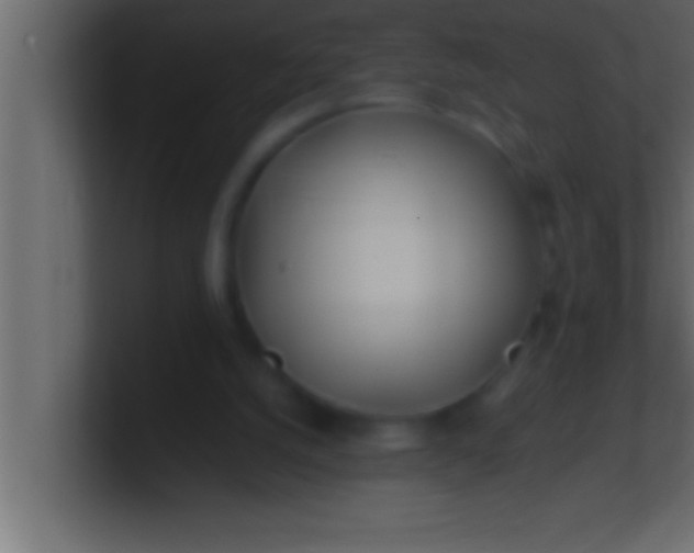 X0000100760056200807031158