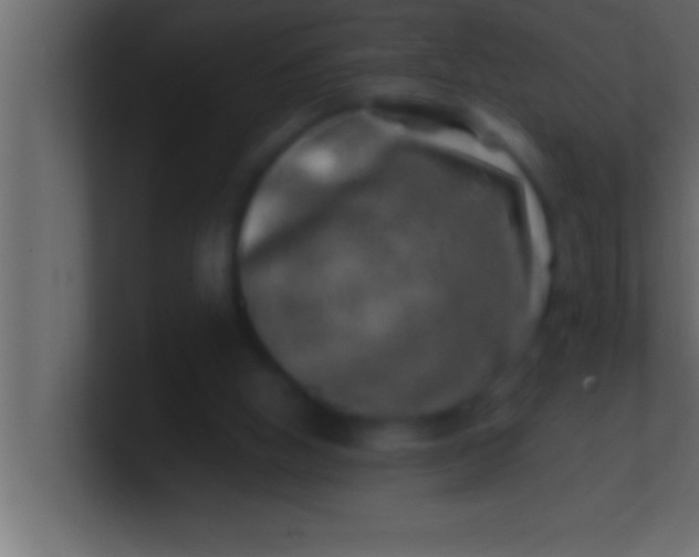 X0000100760058200807031158