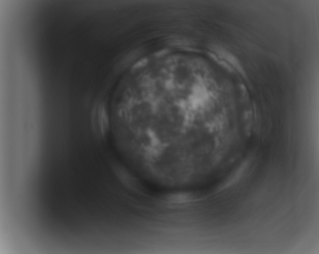 X0000100760061200807031158