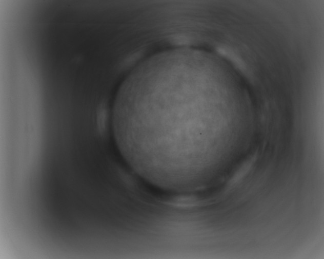 X0000100760066200807031158