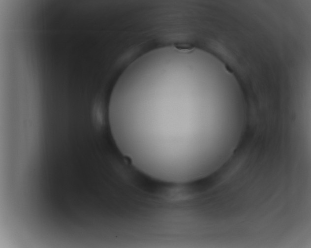 X0000100760068200807031158